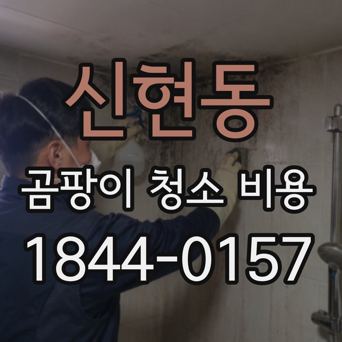 신현동 곰팡이 청소 비용