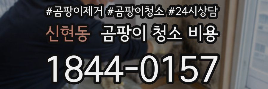 신현동 곰팡이 청소 비용