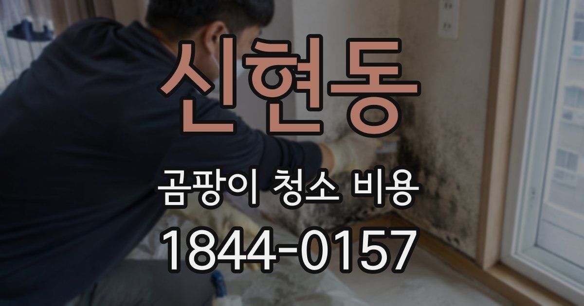 신현동 곰팡이 청소 비용