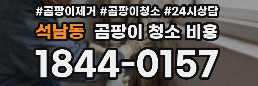 석남동 곰팡이 청소 비용