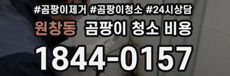 원창동 곰팡이 청소 비용