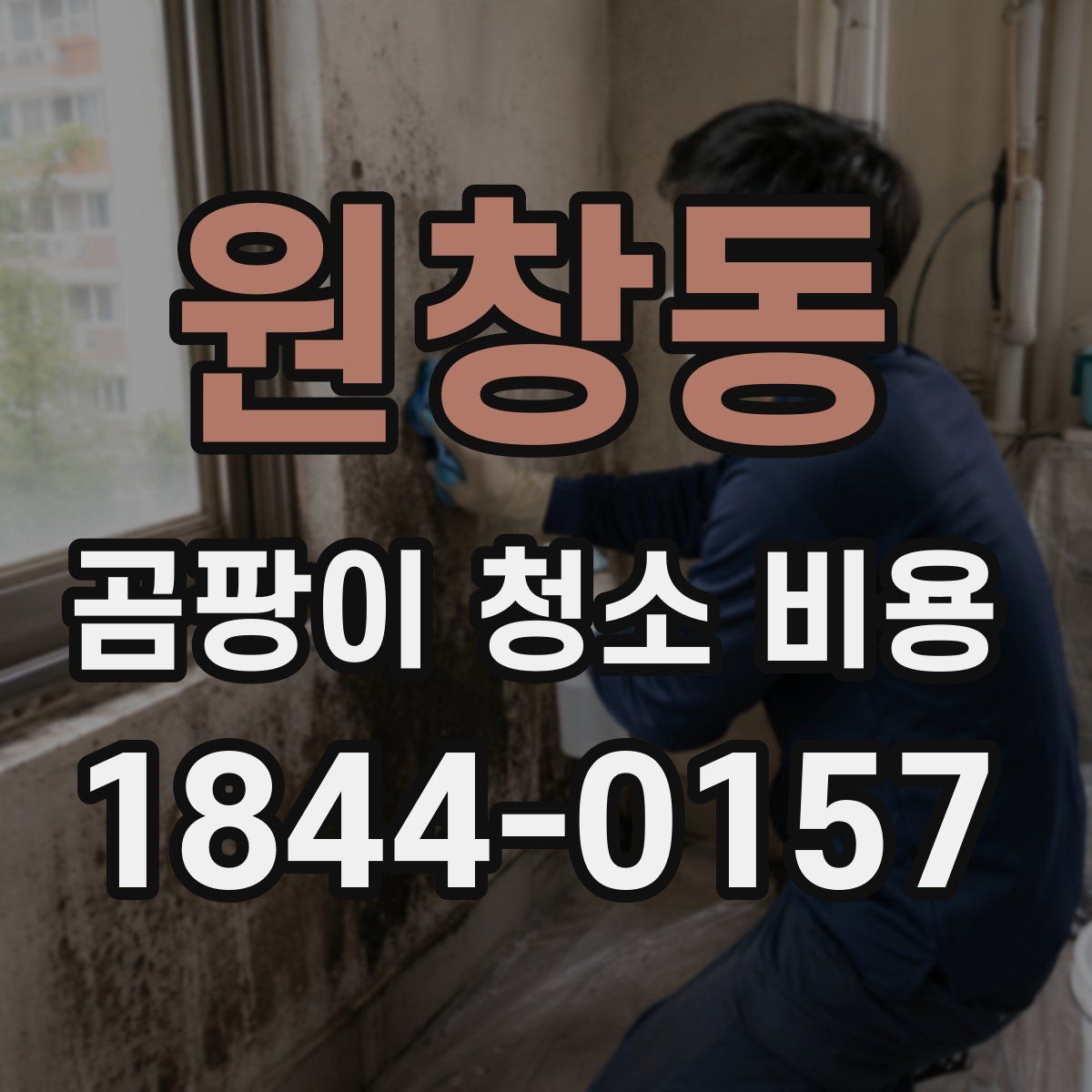 원창동 곰팡이 청소 비용