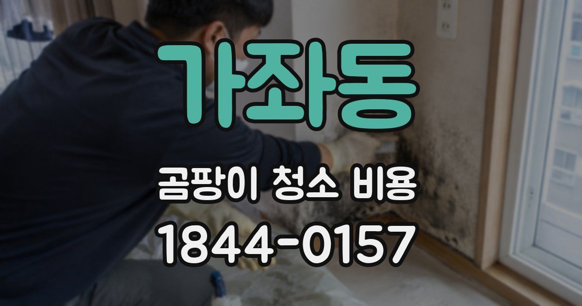 가좌동 곰팡이 청소 비용