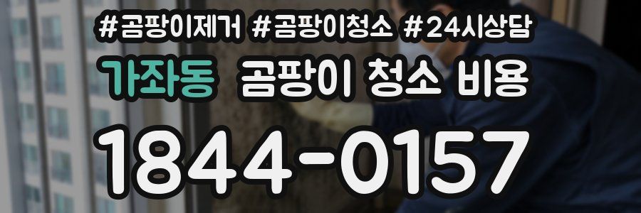 가좌동 곰팡이 청소 비용
