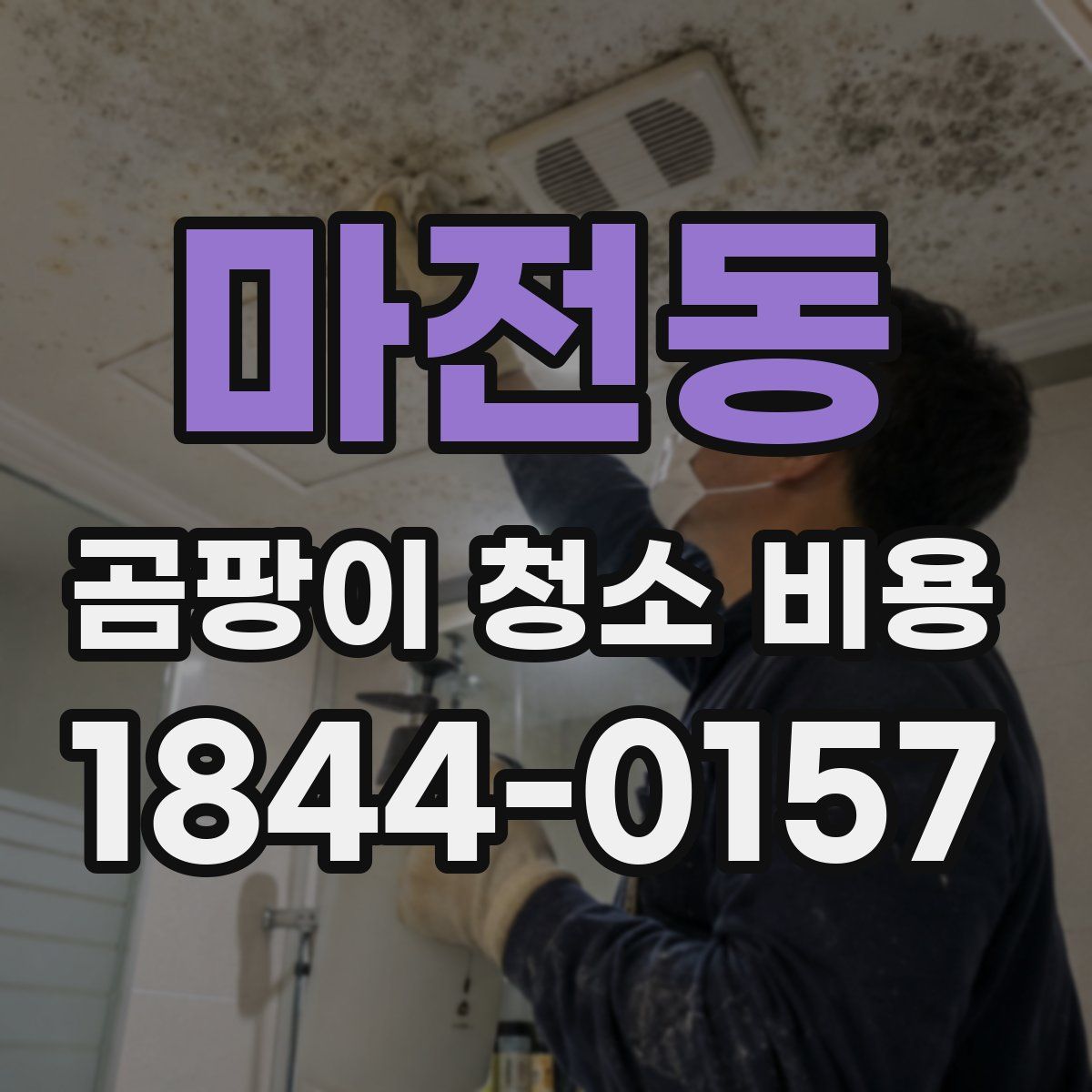 마전동 곰팡이 청소 비용