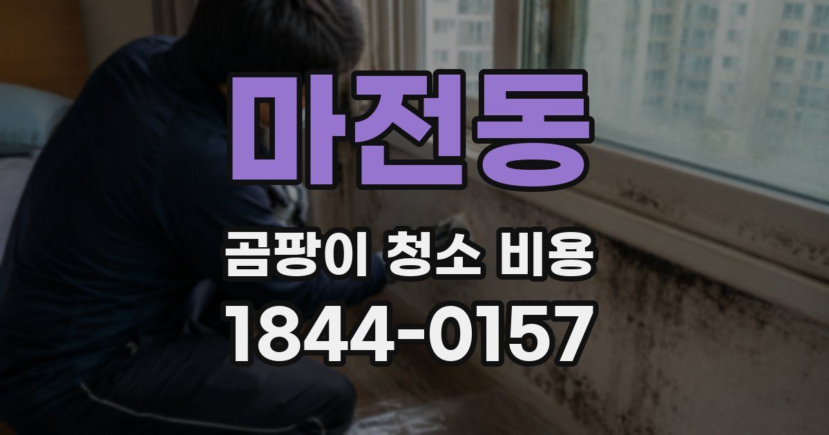 마전동 곰팡이 청소 비용