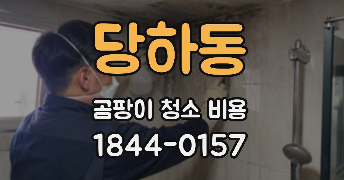 당하동 곰팡이 청소 비용