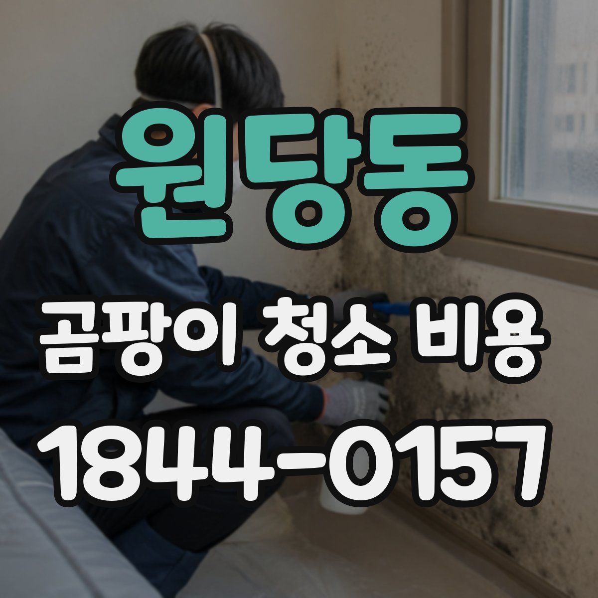 원당동 곰팡이 청소 비용
