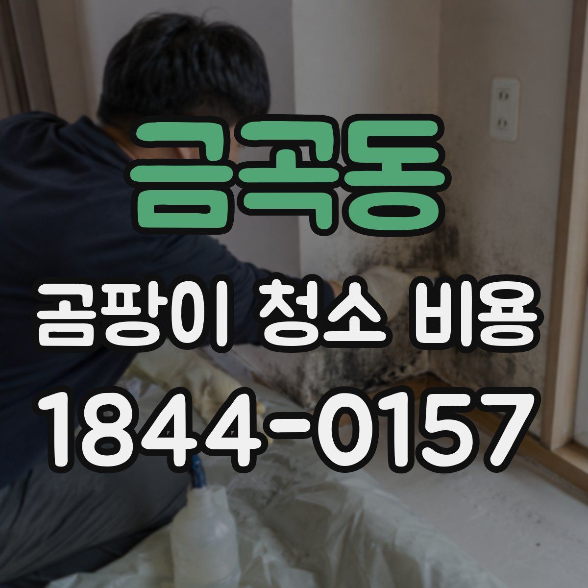 금곡동 곰팡이 청소 비용