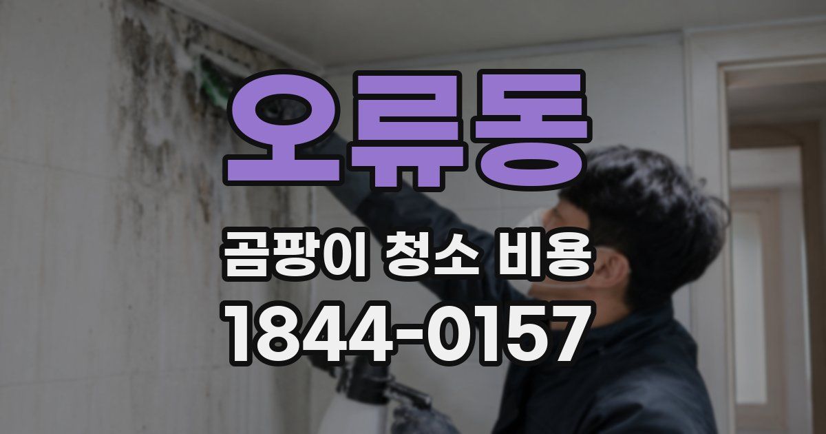 오류동 곰팡이 청소 비용
