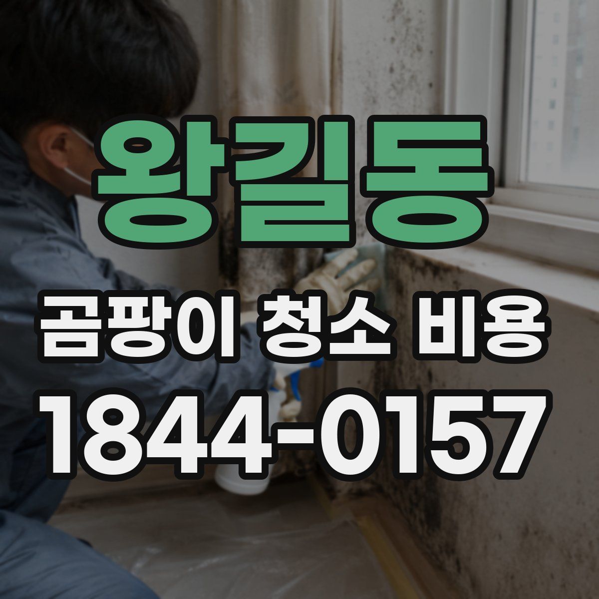 왕길동 곰팡이 청소 비용