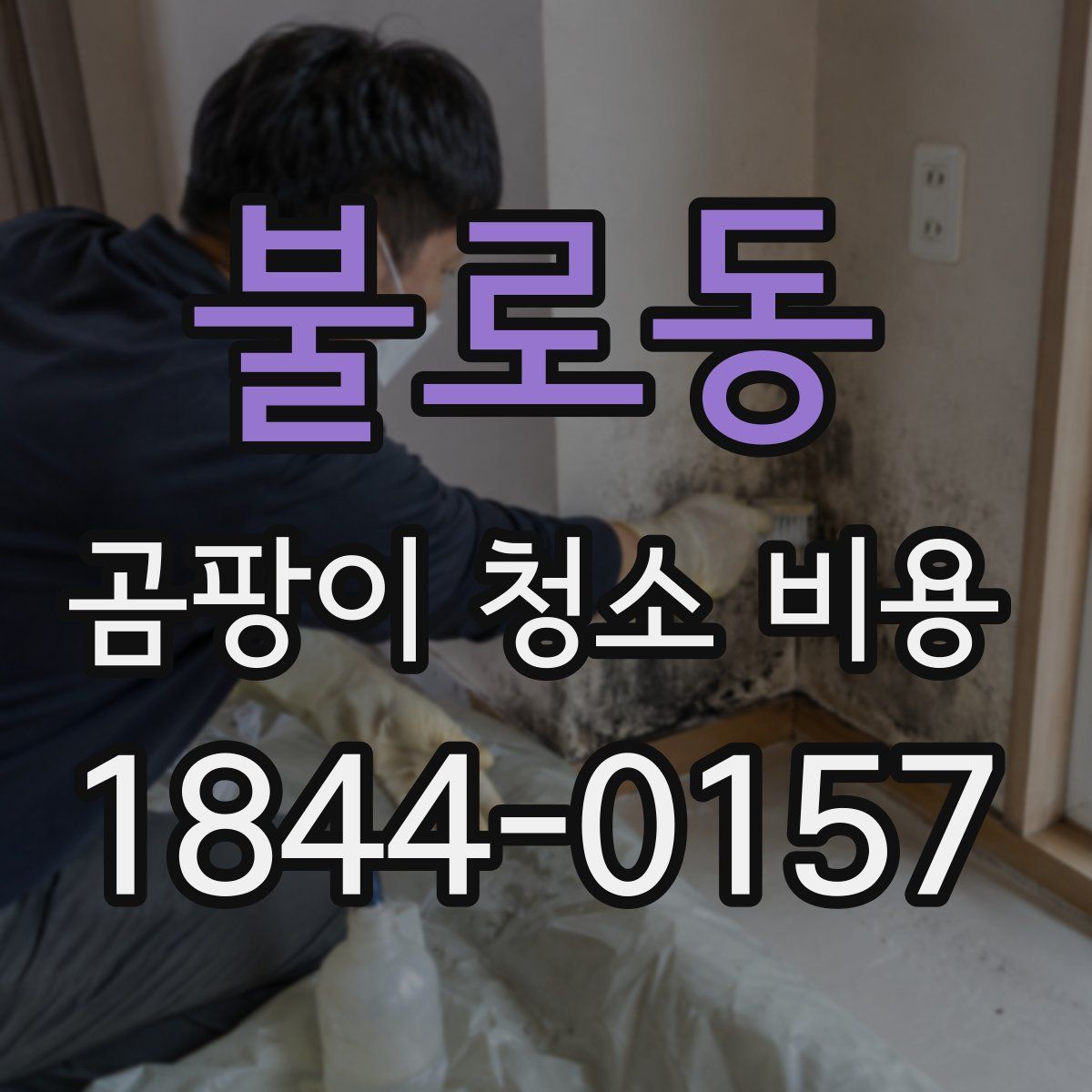 불로동 곰팡이 청소 비용