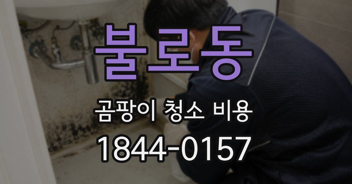 불로동 곰팡이 청소 비용