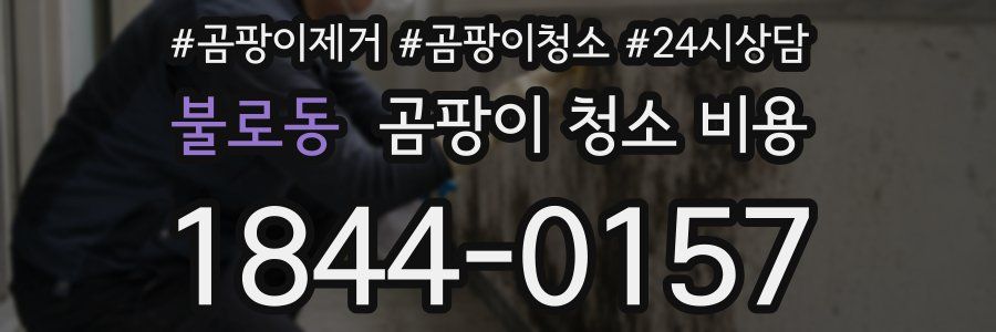불로동 곰팡이 청소 비용