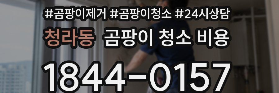 청라동 곰팡이 청소 비용