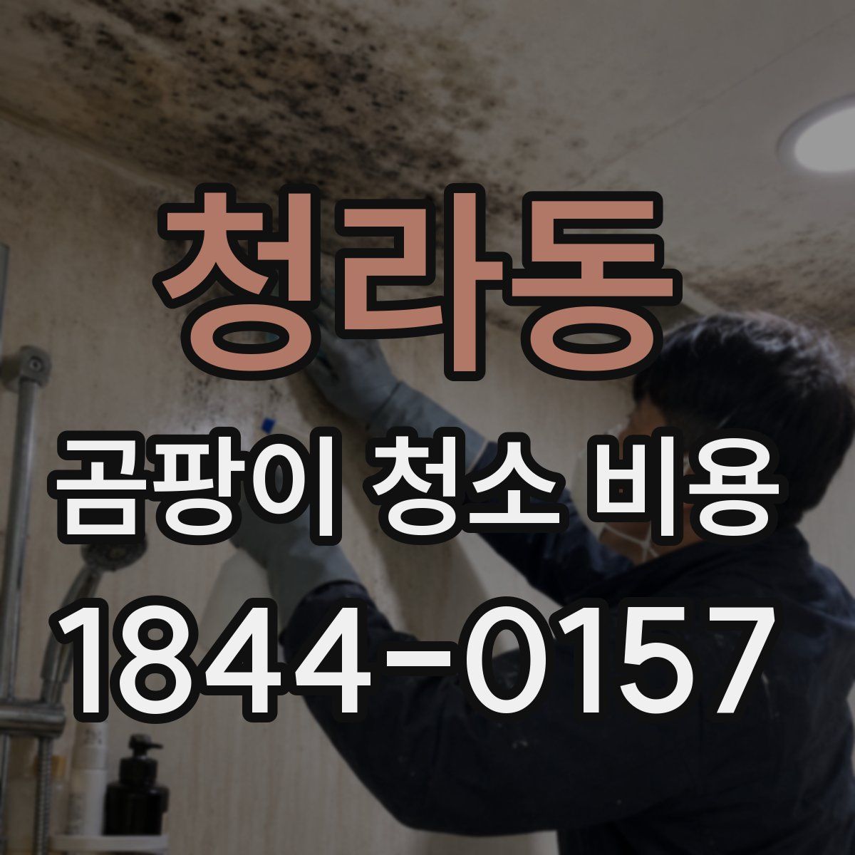 청라동 곰팡이 청소 비용