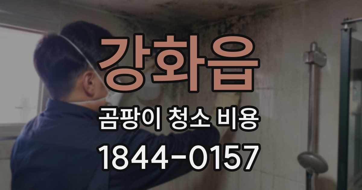 강화읍 곰팡이 청소 비용