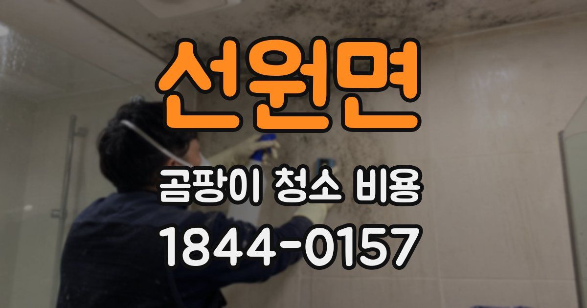 선원면 곰팡이 청소 비용