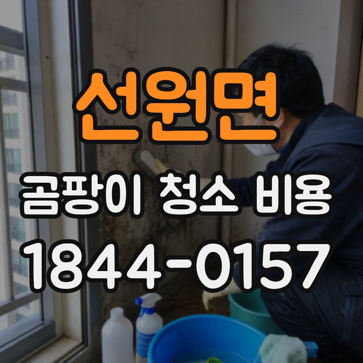 선원면 곰팡이 청소 비용