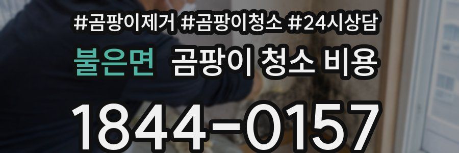 불은면 곰팡이 청소 비용