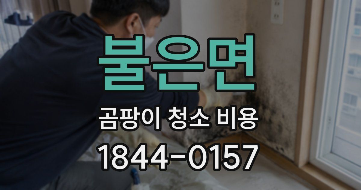 불은면 곰팡이 청소 비용