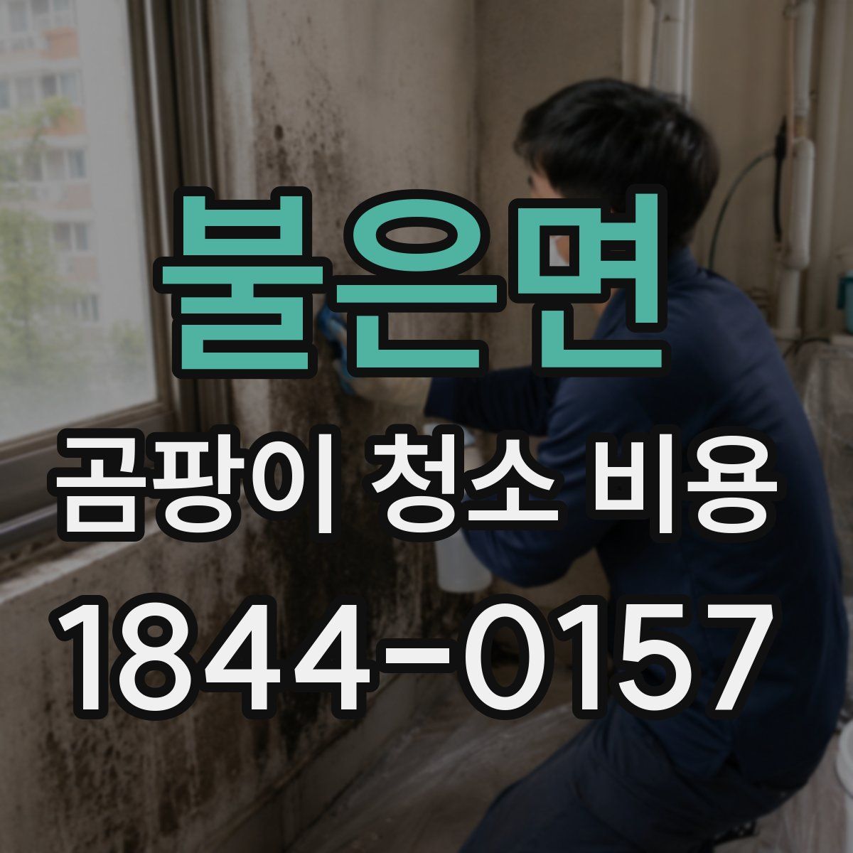 불은면 곰팡이 청소 비용