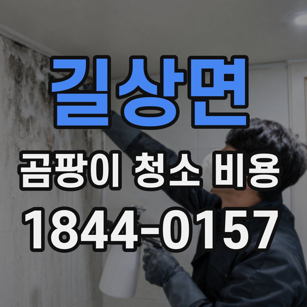 길상면 곰팡이 청소 비용