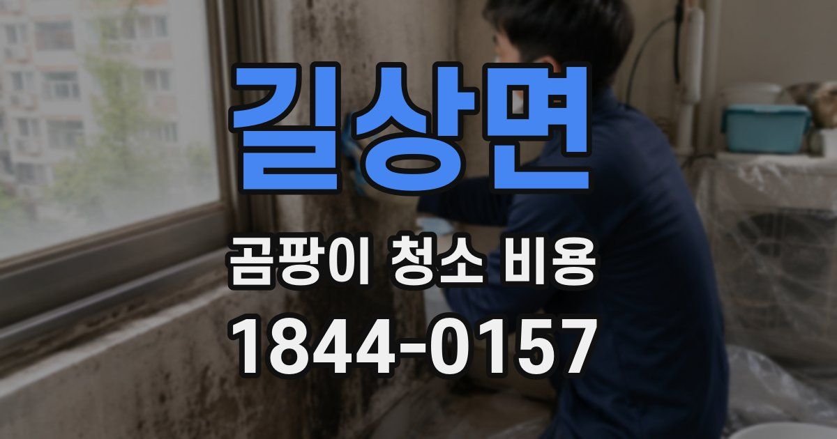 길상면 곰팡이 청소 비용
