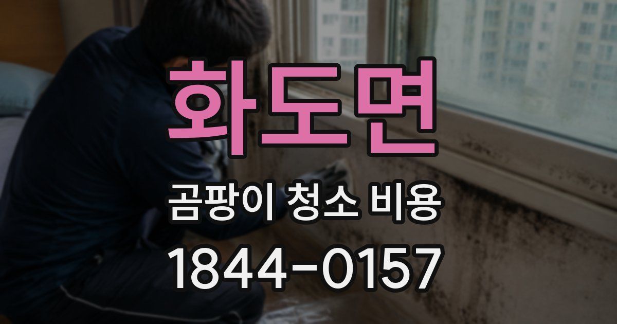 화도면 곰팡이 청소 비용