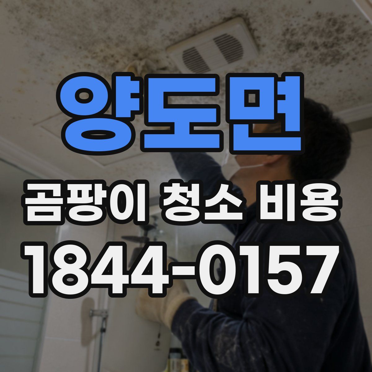 양도면 곰팡이 청소 비용