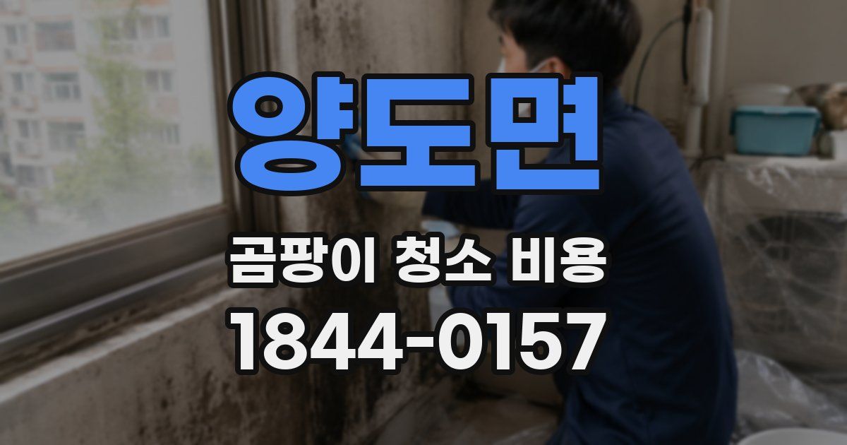 양도면 곰팡이 청소 비용