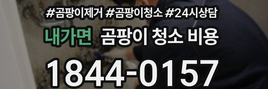 내가면 곰팡이 청소 비용