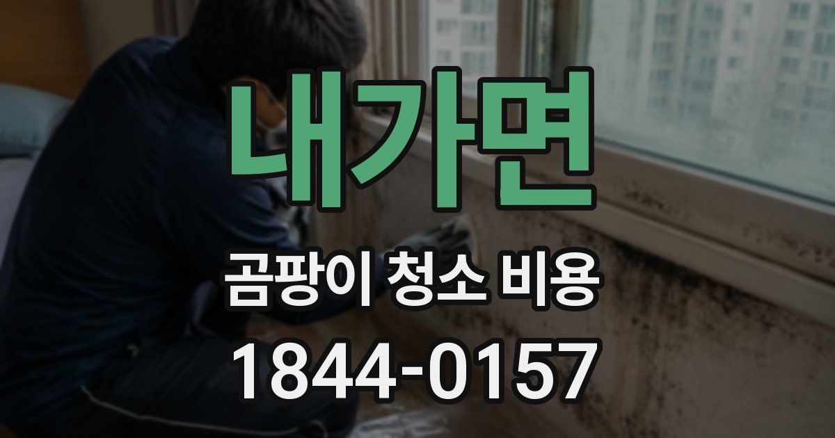 내가면 곰팡이 청소 비용