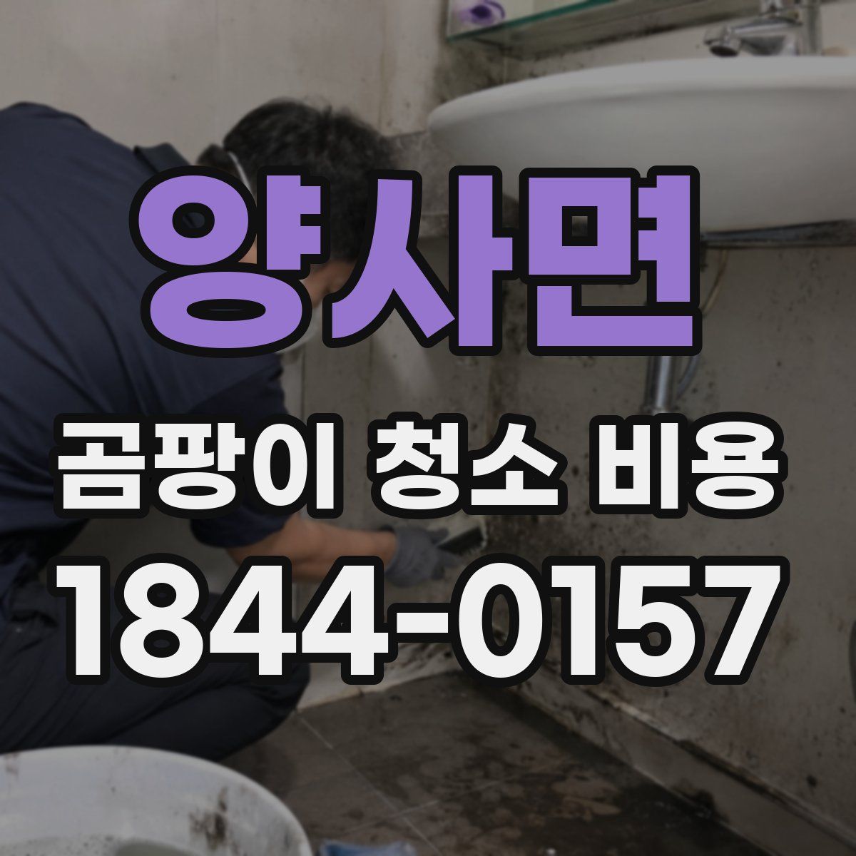 양사면 곰팡이 청소 비용