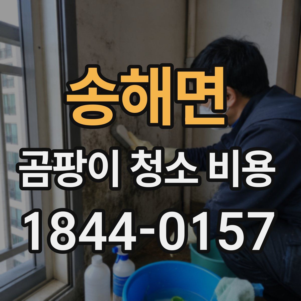 송해면 곰팡이 청소 비용