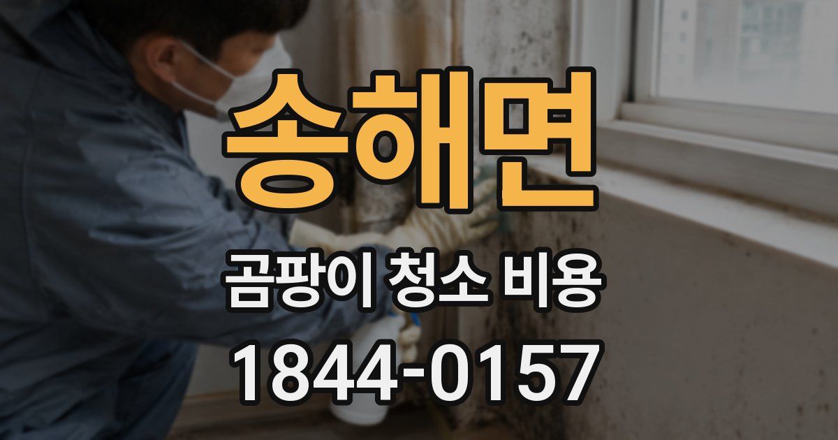 송해면 곰팡이 청소 비용