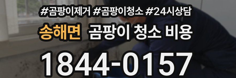 송해면 곰팡이 청소 비용