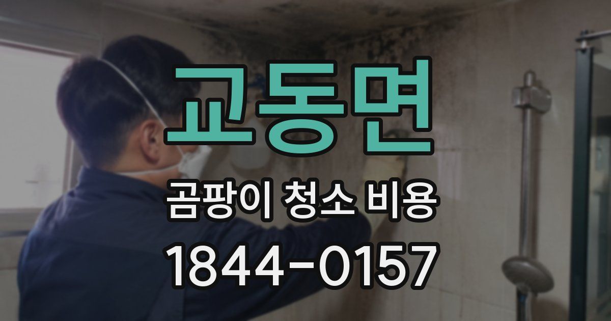 교동면 곰팡이 청소 비용