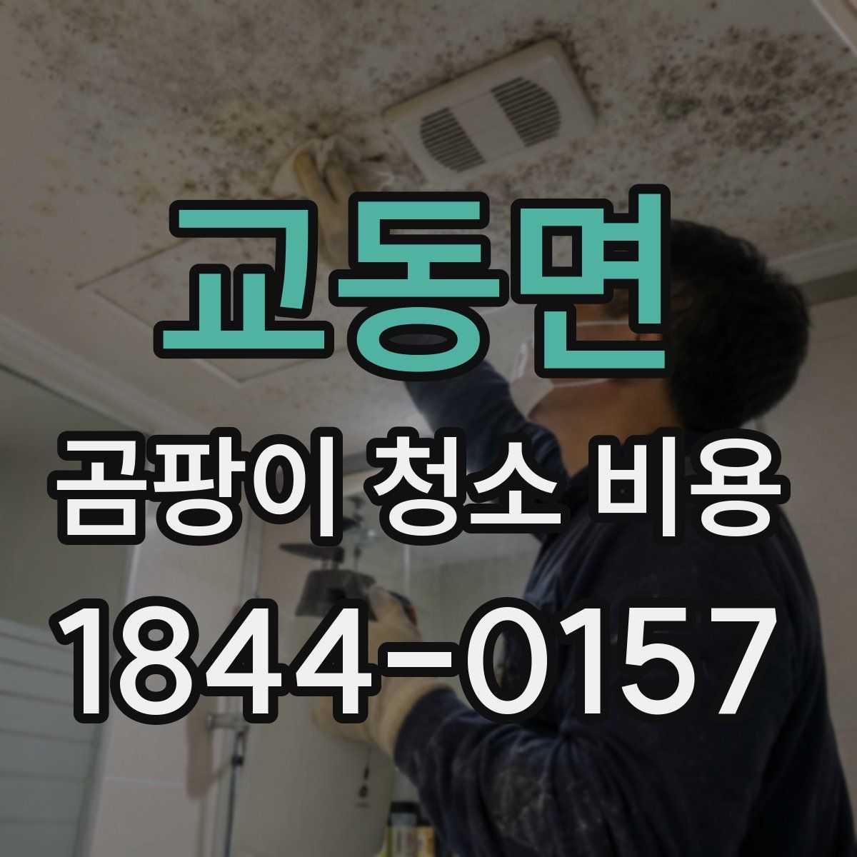 교동면 곰팡이 청소 비용