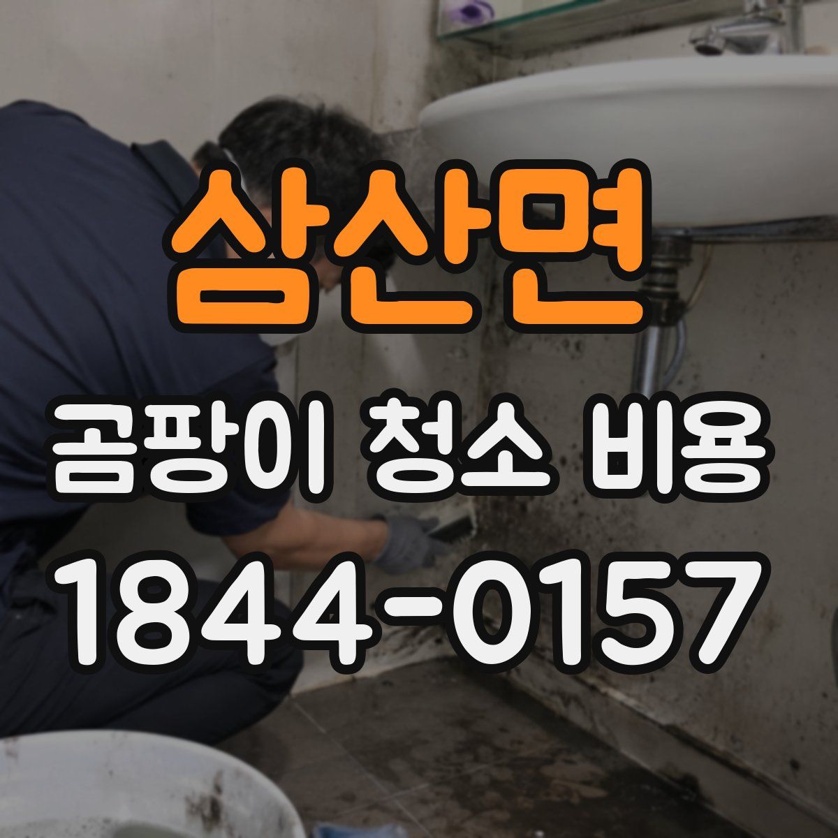 삼산면 곰팡이 청소 비용