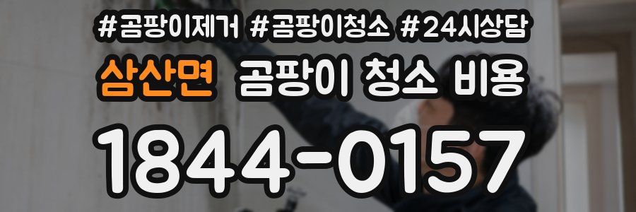 삼산면 곰팡이 청소 비용
