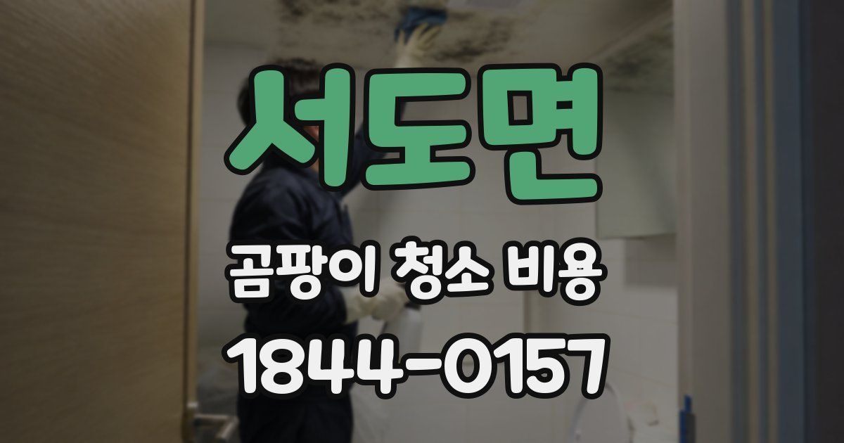 서도면 곰팡이 청소 비용