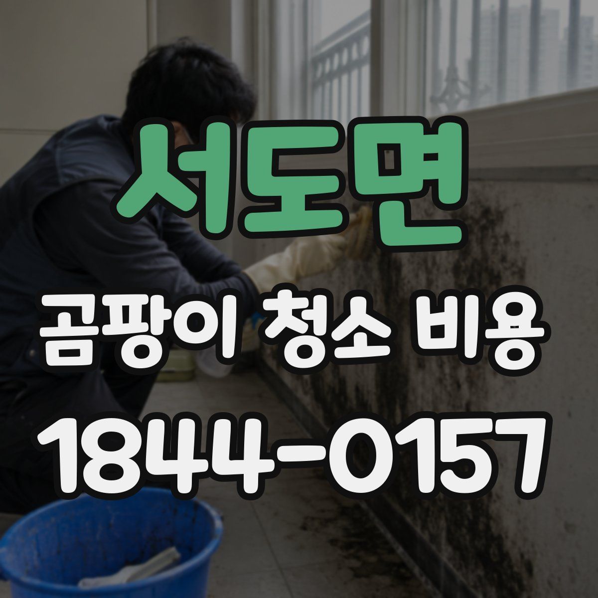서도면 곰팡이 청소 비용