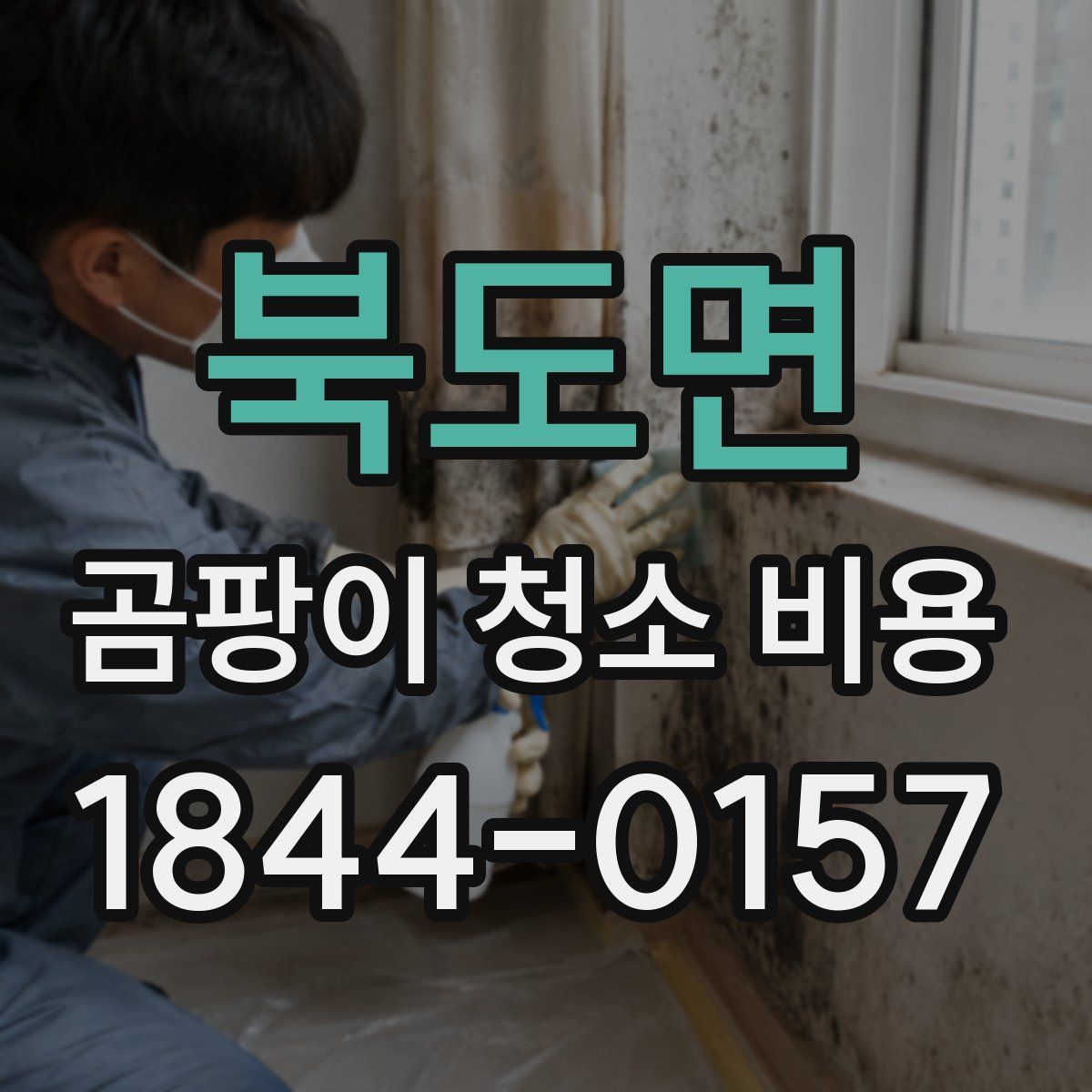 북도면 곰팡이 청소 비용