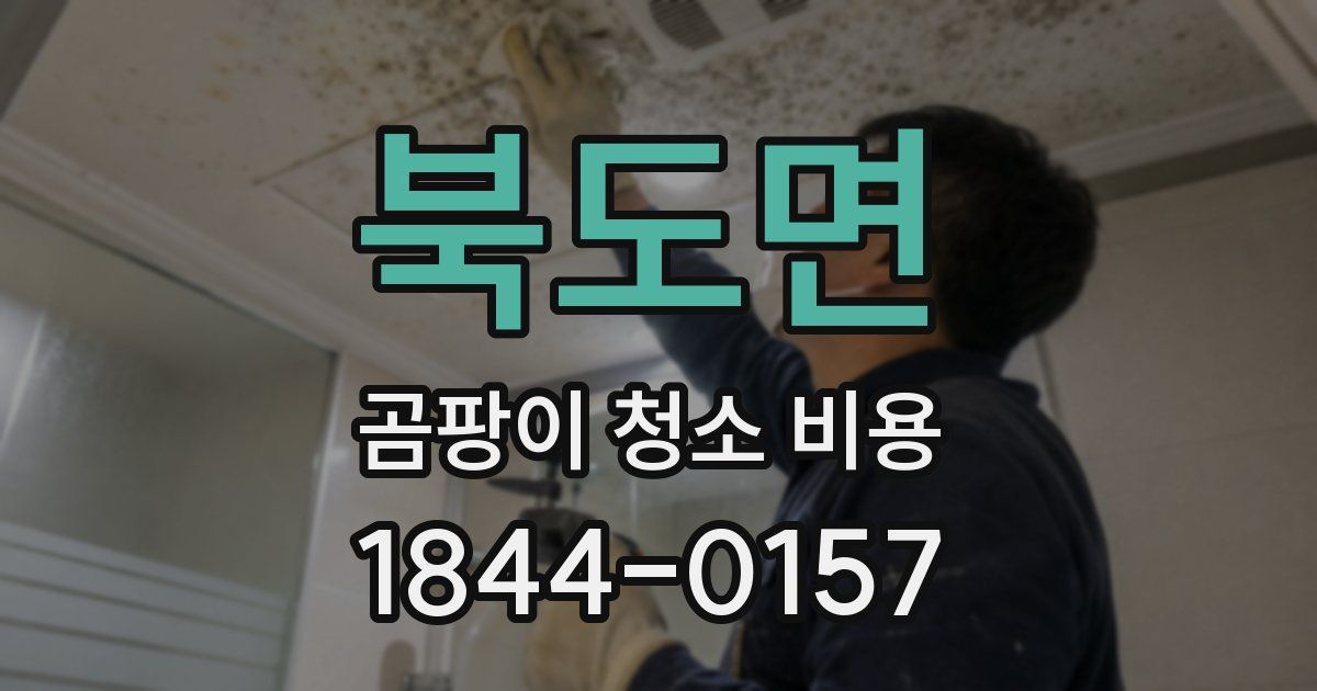 북도면 곰팡이 청소 비용