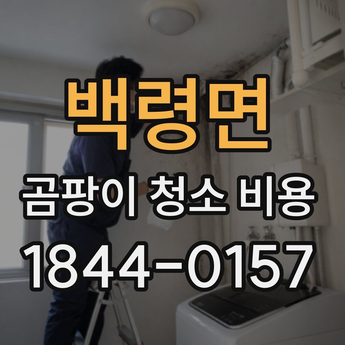 백령면 곰팡이 청소 비용 세입자와 집주인 분담을 보는 사례