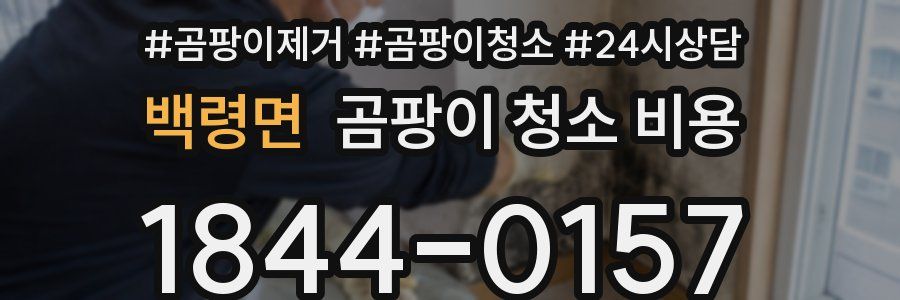 백령면 곰팡이 청소 비용