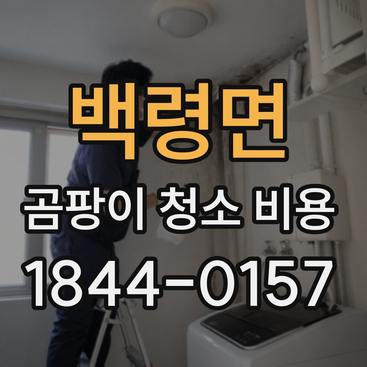 백령면 곰팡이 청소 비용