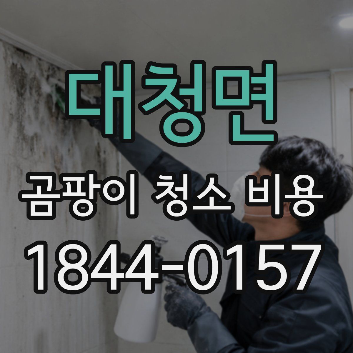 대청면 곰팡이 청소 비용