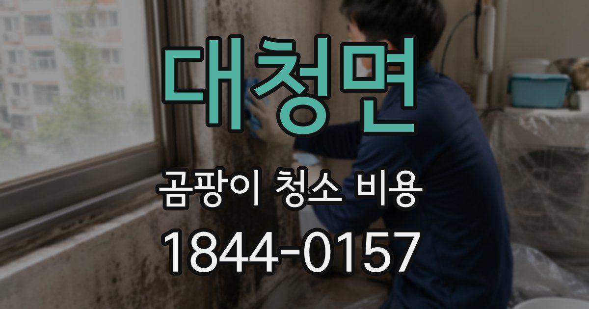 대청면 곰팡이 청소 비용